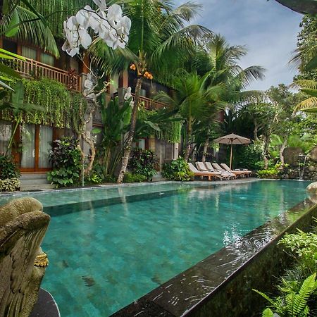 Weda Cita Resort And Spa By Mahaputra Ubud Eksteriør bilde The swimming pool at the hotel